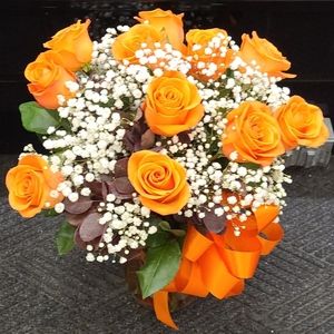 Meet your Posher, Vida